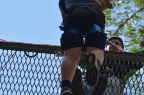 Scout连续五场比赛得分超过大胜，澳大利亚队挑战极限！的简单介绍